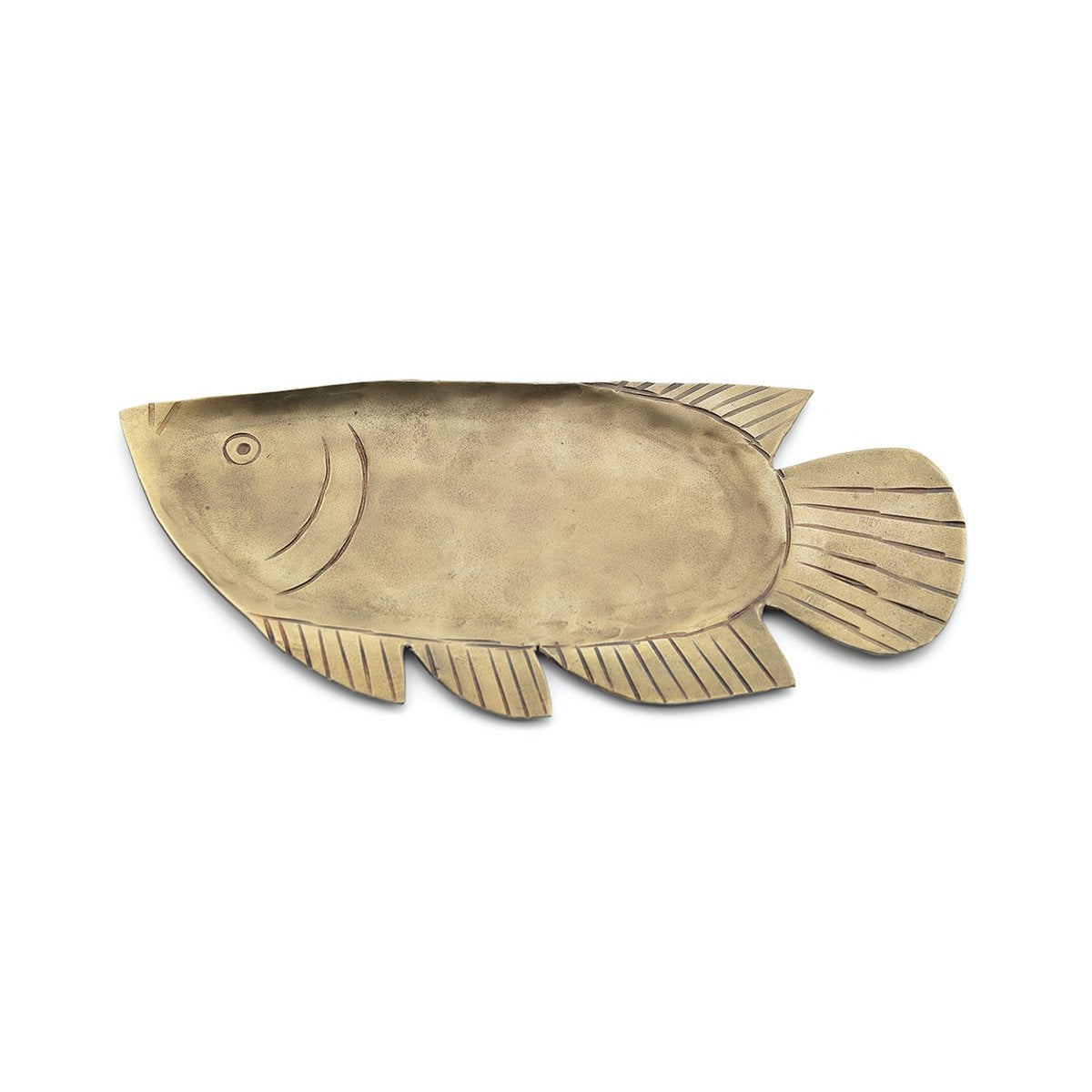 De vangst van de dag schaal