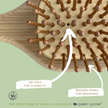 Duurzame Bamboe Massage Haarborstel – Anti-statisch & Scalp Care